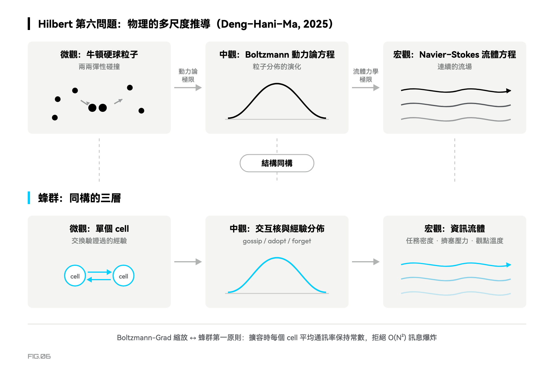 圖 6 · 從玻爾茲曼到蜂群：結構同構的三層