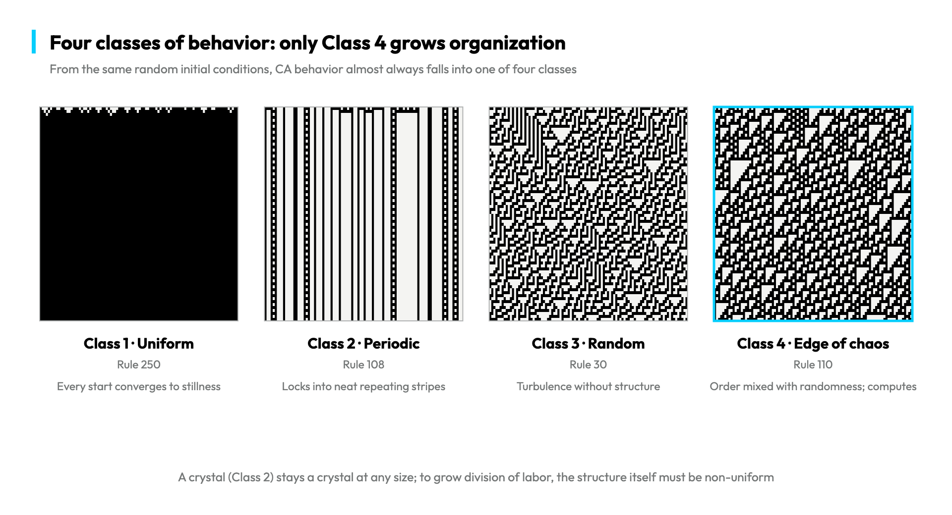 Four classes of behavior: only Class 4 grows organization