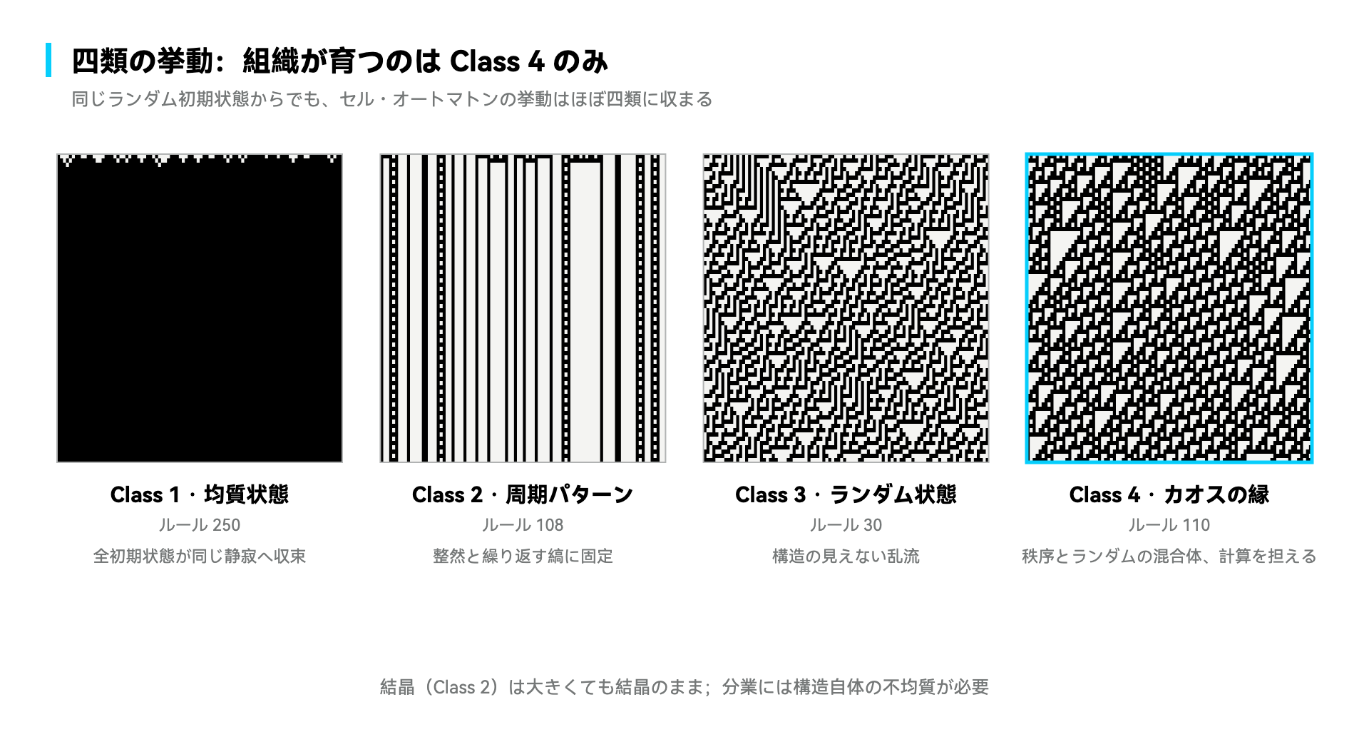 四つの挙動クラス：組織を育てられるのは Class 4 のみ